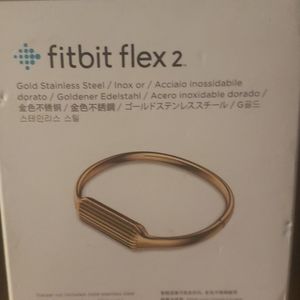 Fitbit flex 2  Metal accessory bangle